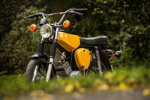 Preteky motoriek